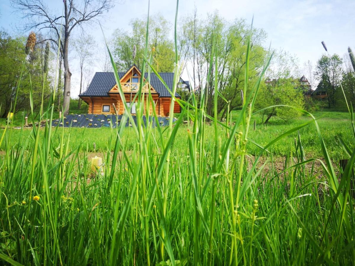 Kukulisko, Wielkanoc, Majowka 2025, Wakacje, Wolne Terminy, Zadzwon Bukowina Tatrzańska Exterior foto